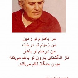 parsasalehi, 19910114, Tehrān, Teheran, Iran