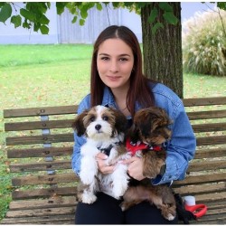 Rosema, 20040404, California City, California, United States Rosema, 20040404, California City, California, United States