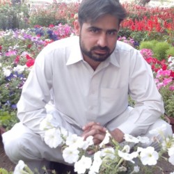 Abrar_Dil, Pakistan